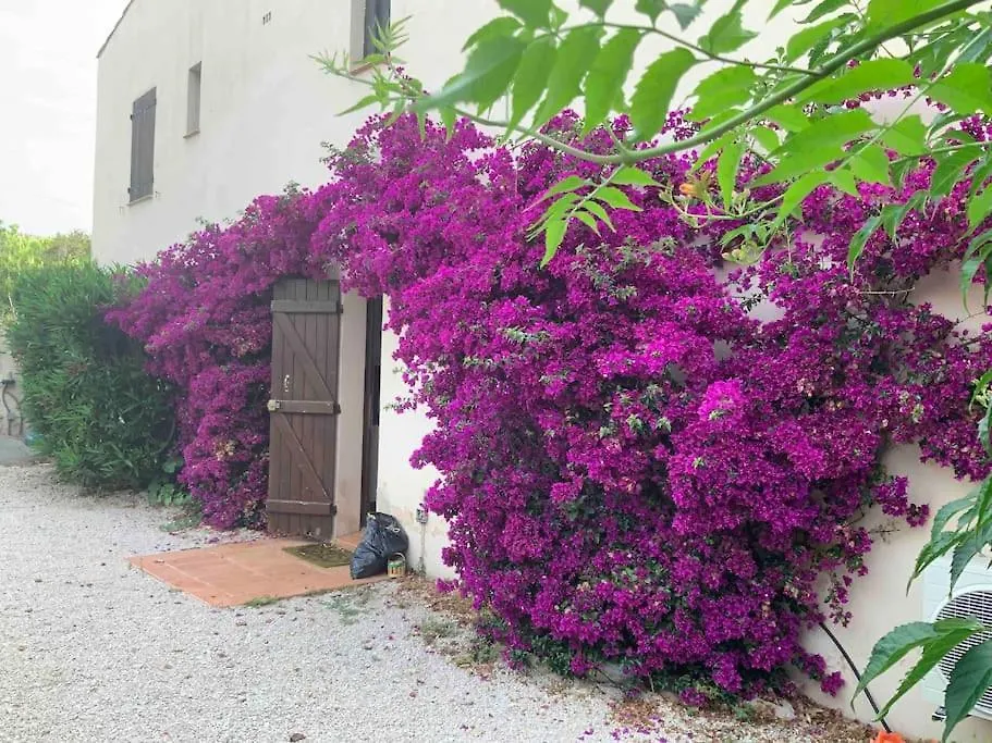 Apartment St Cyr Sur Mer Appart 6Pers Avec Jardin Et Parking A 30M De La Plage Saint-Cyr-sur-Mer